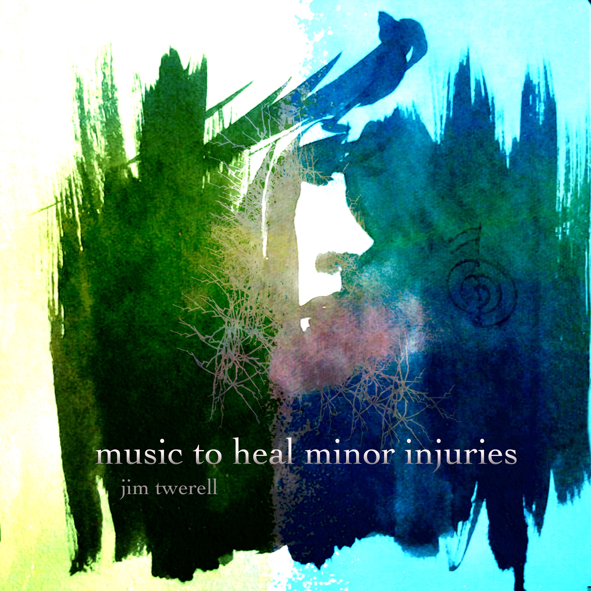 music to heal minor injuries album cover